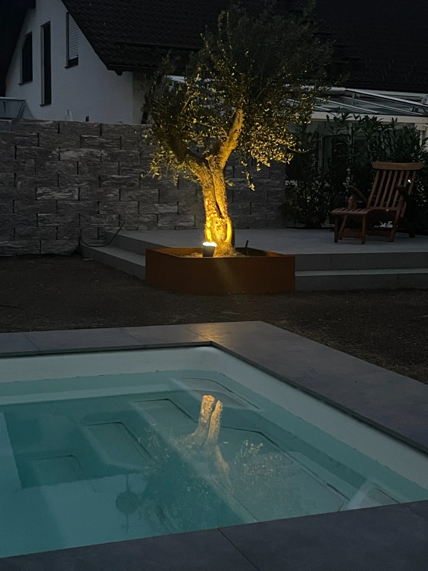 Gepflegte Außenanlage mit Baum und Pool bei Dämmerung